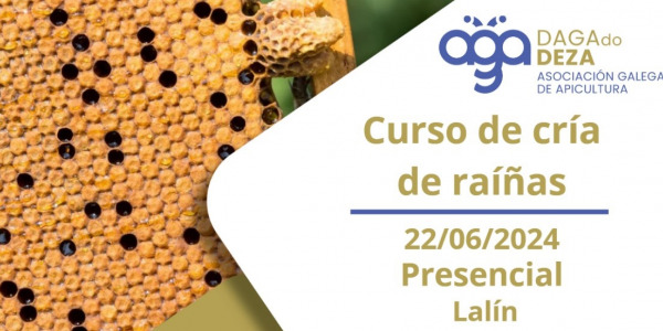 Curso sobre la cría de abejas reina en Lalín