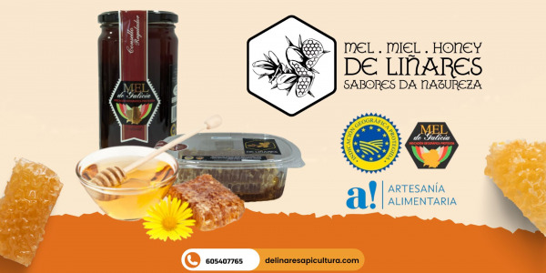 La Miel Artesanal de Galicia: Un valor añadido para tu oferta gourmet 