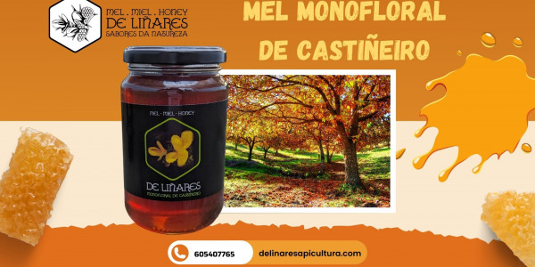 Miel Monofloral de Castaño