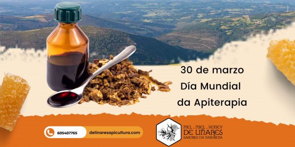 El pasado 30 de marzo se celebró el Día Mundial de la Apiterapia