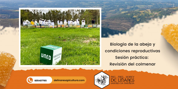 Biología de la abeja y condiciones reproductivas
