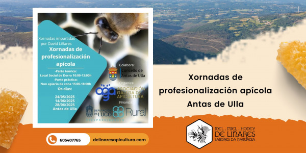 Jornadas de Profesionalización Apícola en Antas de Ulla