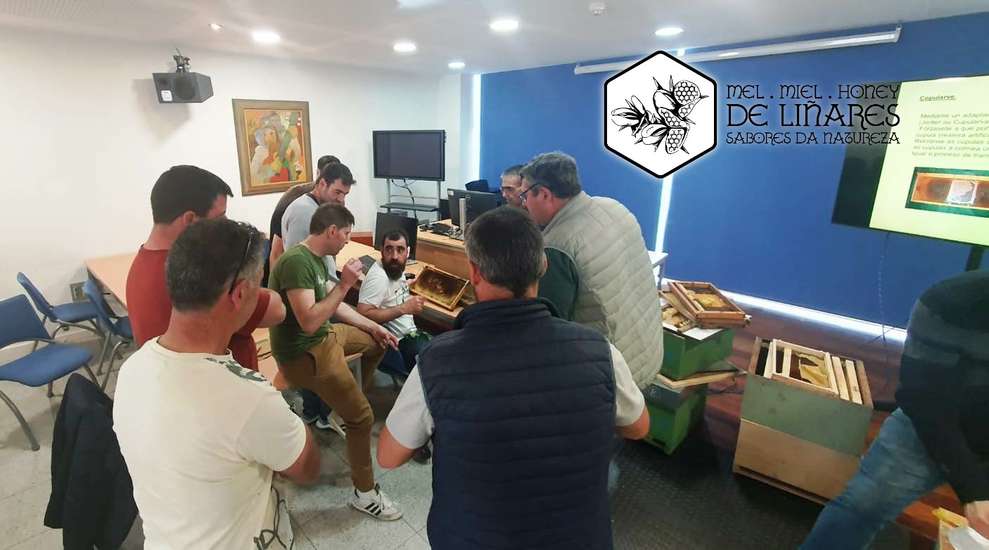 Curso sobre la cría de abejas reina en Lalín