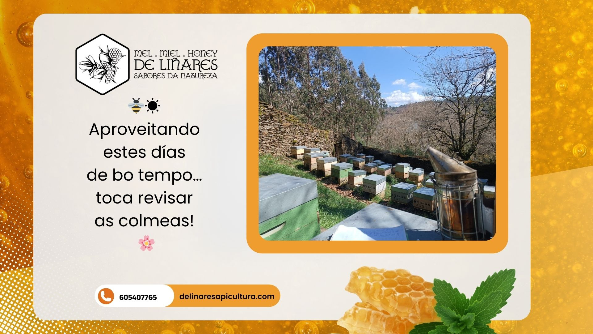 Aprovechando estos días de buen tiempo… toca revisar las colmenas.
