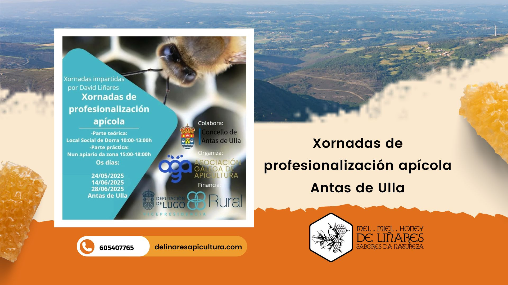 Jornadas de Profesionalización Apícola en Antas de Ulla
